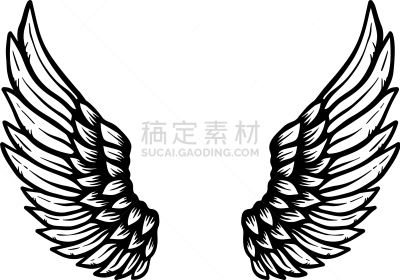 白色,分离着色,鹰,动物手,翅膀,老鹰,动物,绘制