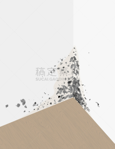 墙,霉菌,华丽的,有毒物质,专业人员,平视角,厚木板,木材,壁纸,霉病