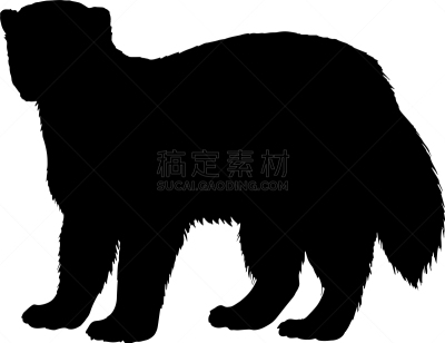 白色,狼獾,黑色,图标,分离着色,生物学,创造力,剪影,收集