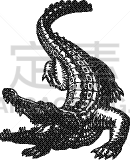 鳄鱼,短吻鳄属,式样,动物手,创造力,华丽的,绘制,进攻,装饰