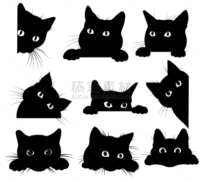 猫,黑色,角度,看风景,可爱的,脸颊,动物,布置,爱