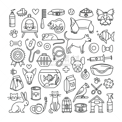 狗,鸟类,式样,正方形,猫,宠物商店,家畜,贺卡,玩具,动物