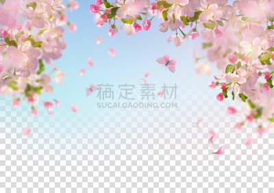 春天,樱桃树,白色,自然,华丽的,运动模糊,季节,粉色,浪漫,图像