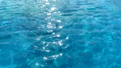 池子里的水面封闭起来