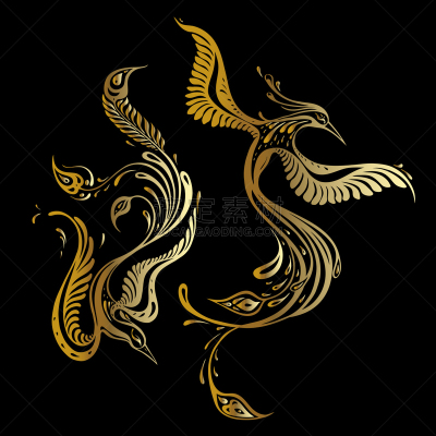 自然美,孔雀,热带鸟,可爱的,华丽的,传统,摆拍,华贵,野生动物