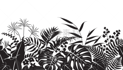 式样,热带灌木,轮廓,热带雨林,白色,黑色,在边上,自然,剪影,花