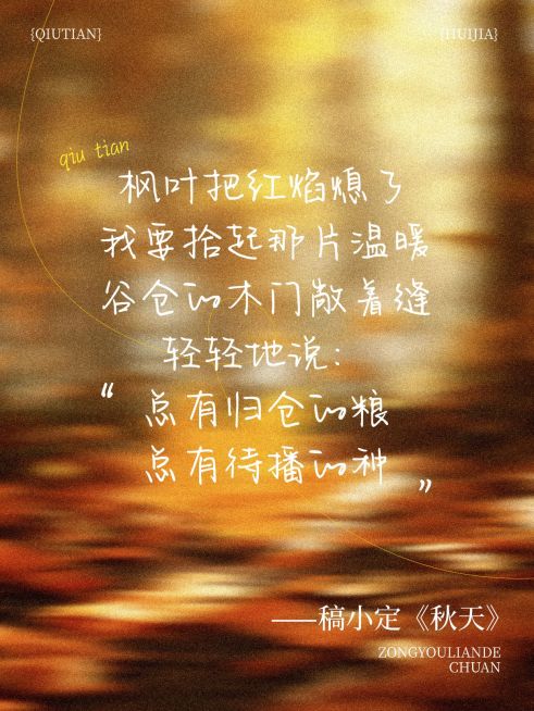 情感语录分享秋季松弛动态模糊氛围感小红书封面预览效果