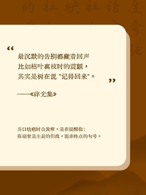 情感领域书摘语录分享仿书本样式小红书封面预览效果