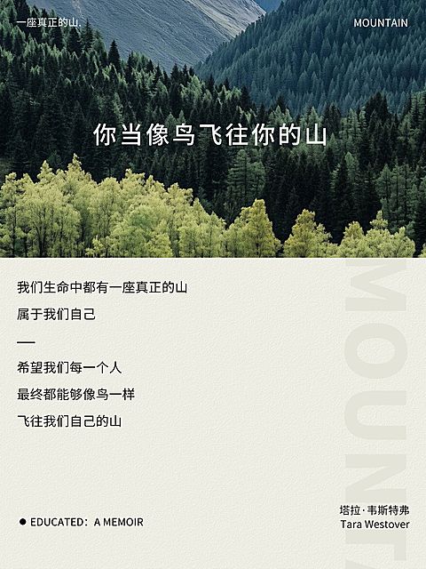 情感领域书摘情感语录分享文艺感小红书封面