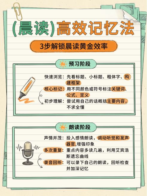 教育培训K12教育晨读高效记忆法学习指南分享小红书配图预览效果