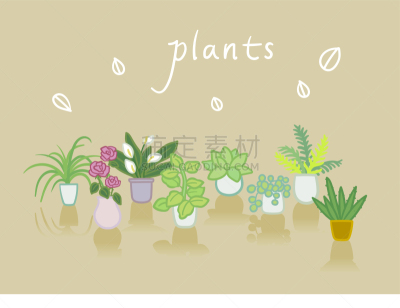 室内植物,矢量,盆栽植物,锅,收容所,自然,植物群,装饰,种植,花