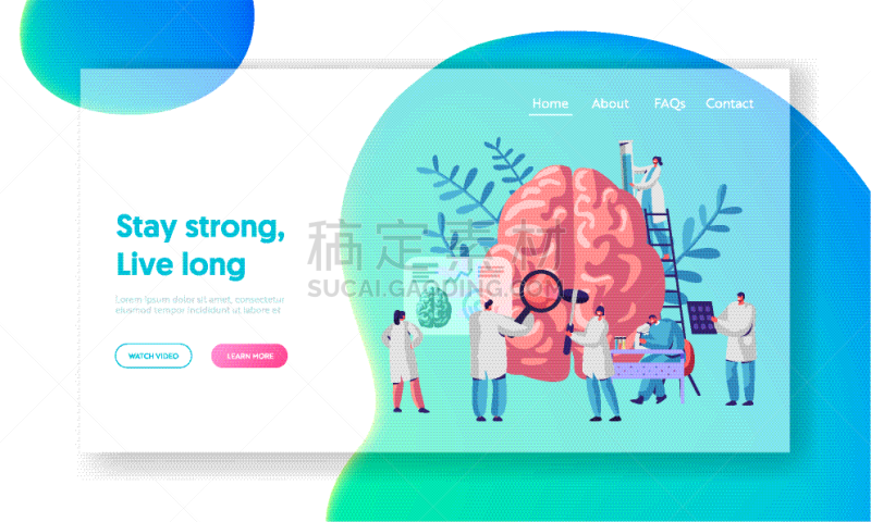 科学家,实验室,人群,人脑,神经系统,讲师,人,男人,学习
