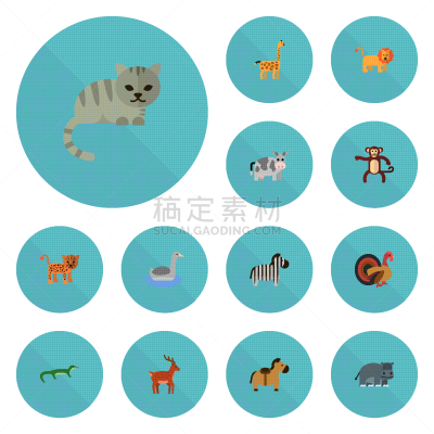 美洲豹,马,爬行纲,野生动物,肖像,残酷的,图像,猫