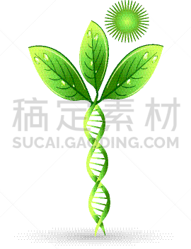 脱氧核糖核酸,植物,自然,概念,茶水间,叶子,酸,生物学,微生物学,螺线