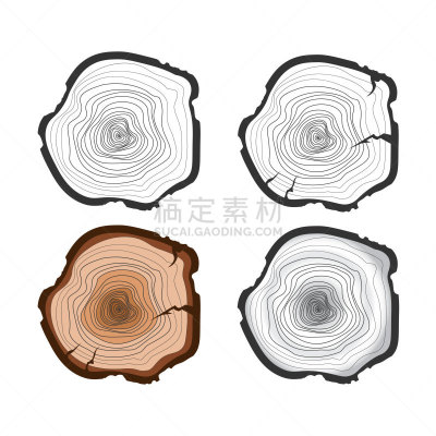 树干,扁平化设计,横截面,部分,背景分离,松木,圆木,植物,粗糙的,绘画插图