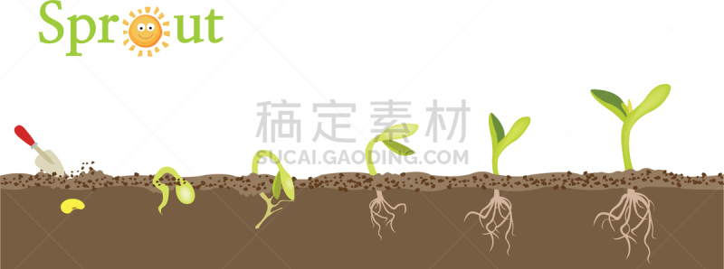 植物,秧苗,树苗,根部,农业,清新,环境,枝繁叶茂,生长,希望