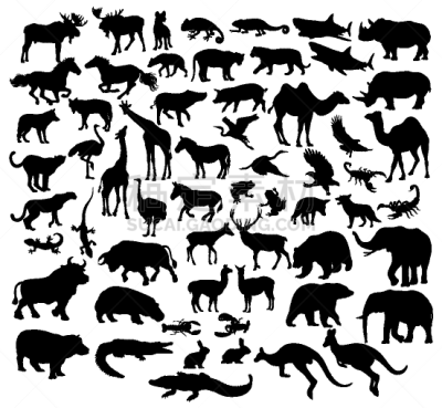 野生动物,动物,猎豹,狗,猪,鸟类,兔子,熊,骆驼,剪影