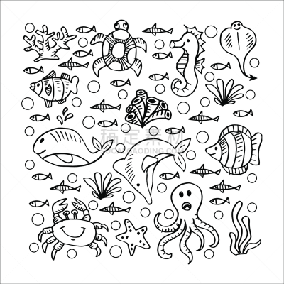 卡通,海洋生命,可爱的,野生动物,海豚,鲨鱼,海星,海龟,动物,蜗牛
