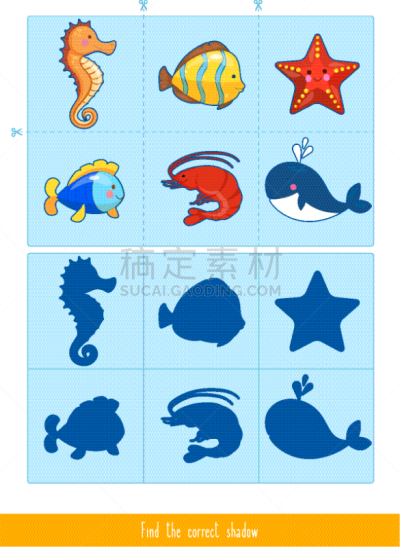儿童,游戏,可爱的,自然,专心,机敏,图像,海洋,教育,收集