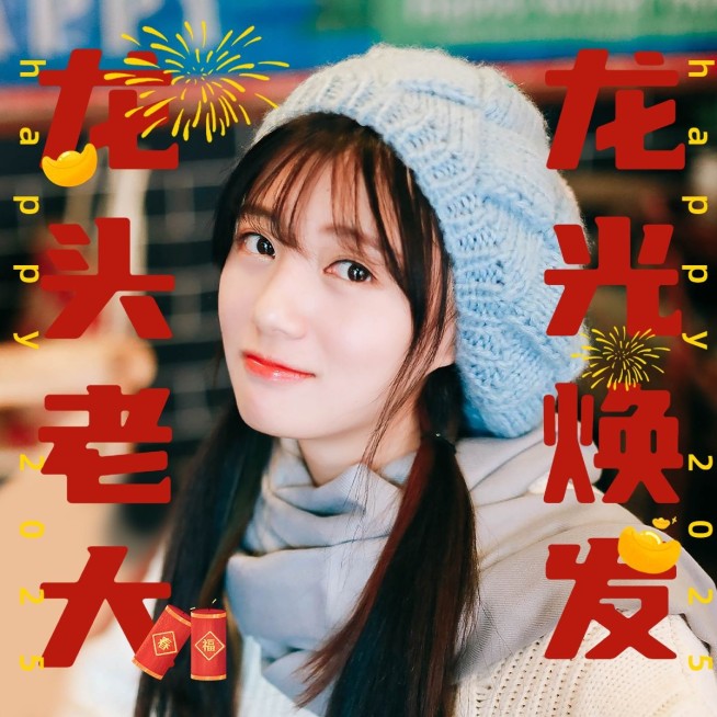春节新年趣味个人晒照PLOG预览效果