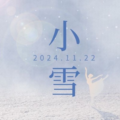 小雪节气祝福问候实景剪影白雪公众号次图