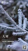 模板缩略图