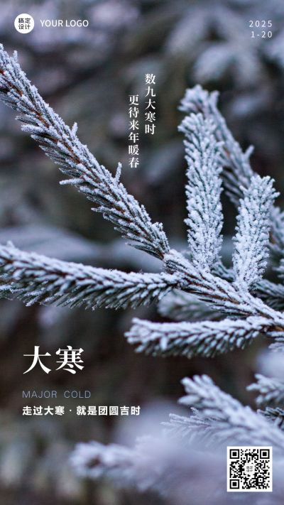 大寒节气树枝实景特写祝福手机海报