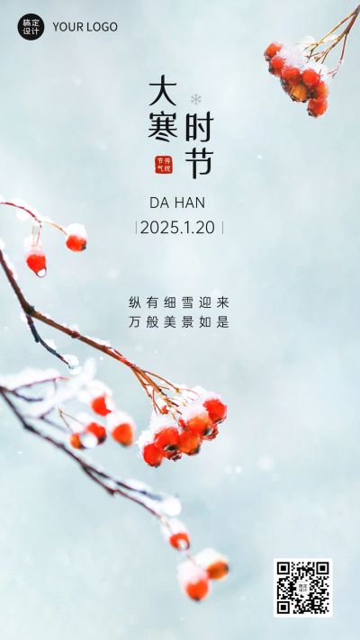 大寒节气祝福实景手机海报