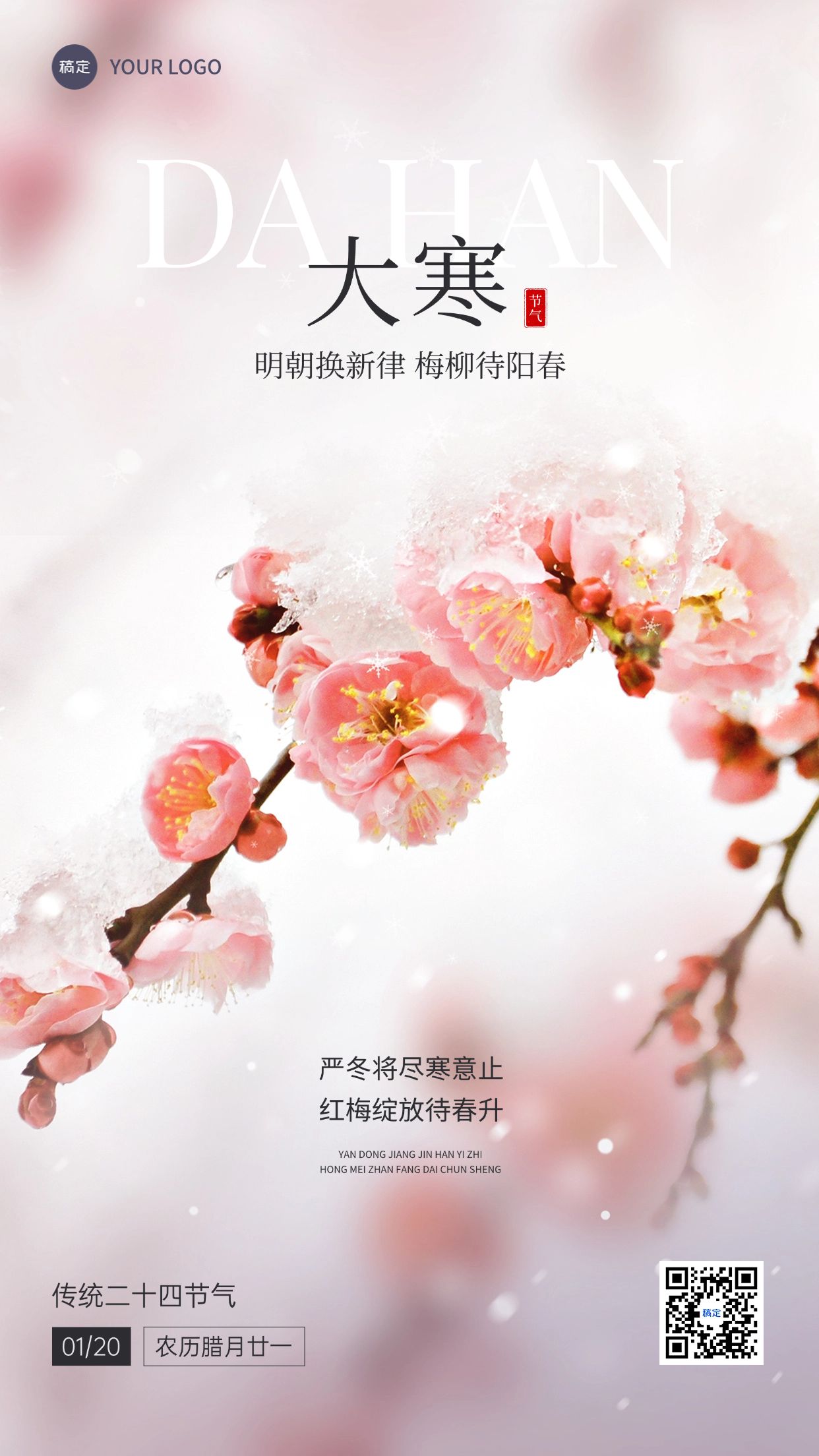 大寒金融保险节气祝福实景风手机海报