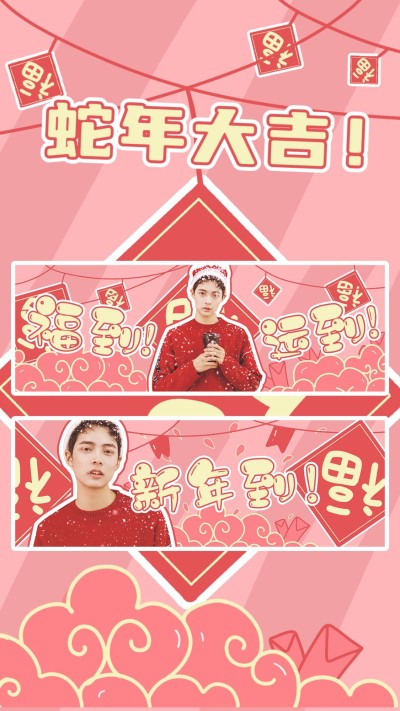 喜庆新春春节手幅海报明星娱乐应援