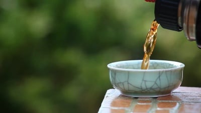 中国红茶短片