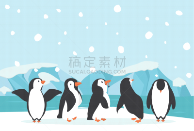 北极,冬天,企鹅,地形,北极点,可爱的,野生动物,霜,雪,哺乳纲