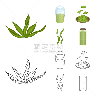 分离着色,海洋,计算机图标,蛋白质,一个物体,饮料,蔬菜,素食,清新,食品