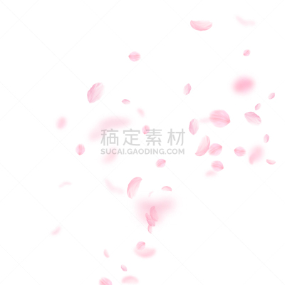 花瓣,樱之花,请柬,清新,浪漫,风,樱桃,婚礼,落下,爱