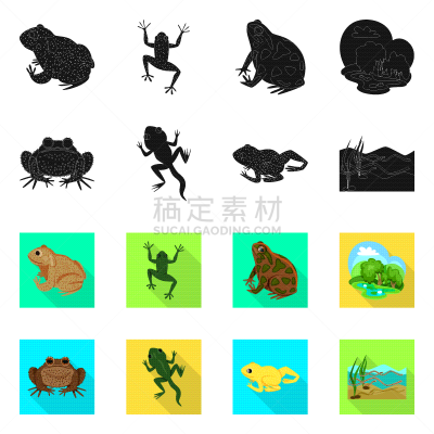 野生动物,分离着色,藓沼,品牌名称,一个物体,生物学,有毒物质,青蛙,池塘,布置
