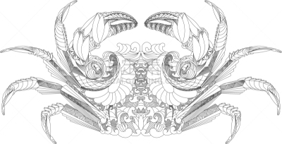巨蟹座,线条画,亚洲,华丽的,艺术,算命,设计,装饰