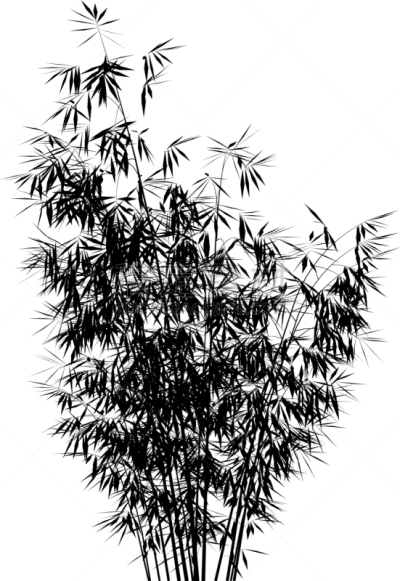 竹,亚洲,自然,传统,灌木,艺术,叶子,设计,装饰