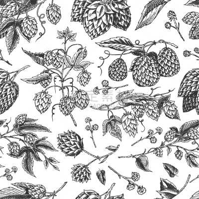 hops and barley seamless pattern malt beer