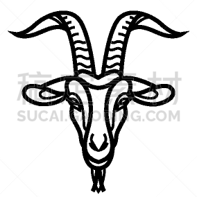 摆拍,直的,山羊,绘画插图,动物头,分离着色,白色,自然,绵羊