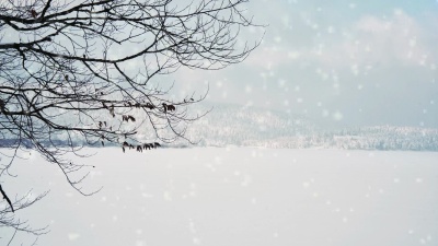  圣诞雪花动画