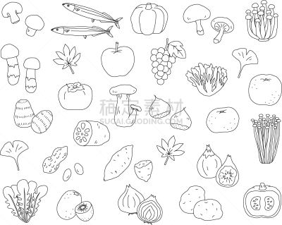 秋天,绘画插图,食品,动物手,背景分离,熟的,金针菇,梨,姬菇,甘薯
