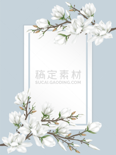 枝,纸,白色,热,周年纪念,浪漫,冬天,花,问候,排列