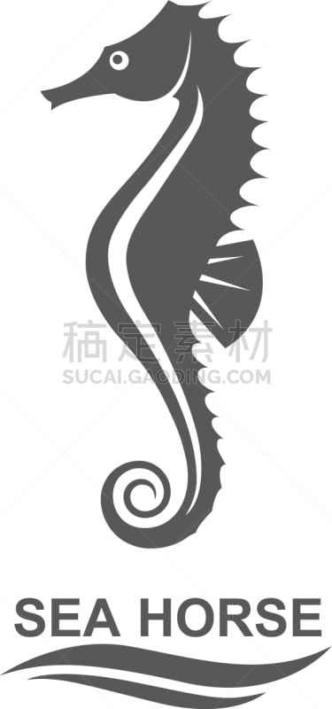 海马,分离着色,生物学,自然,海产,海洋,船,动物,装饰