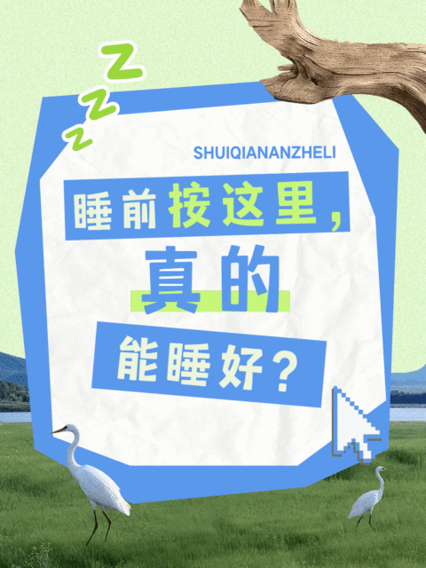 养生科普创意吸睛动态小红书封面