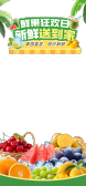 模板缩略图