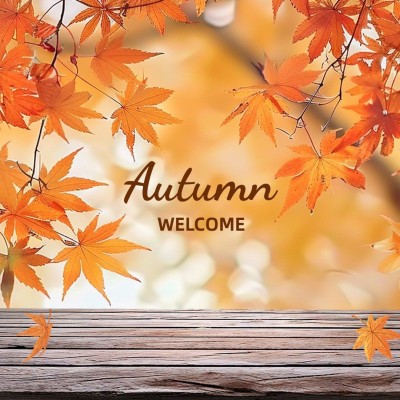 insMind Fall Colors Autumn Fashion Collection Templates
