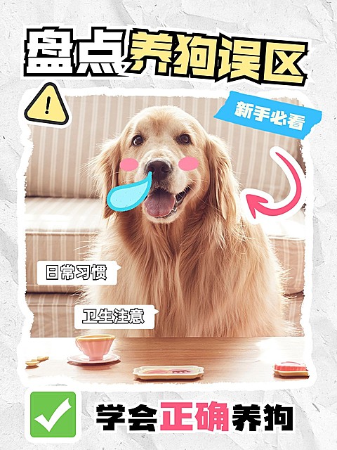 宠物狗狗知识科普套装小红书封面