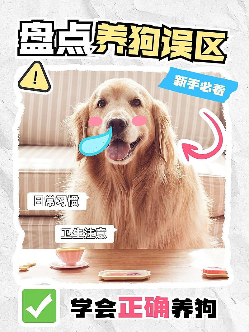 宠物狗狗知识科普套装小红书封面