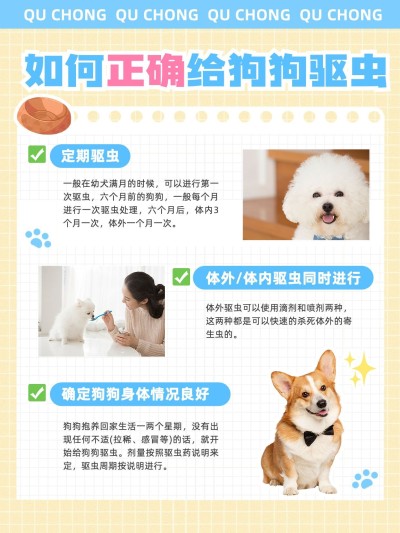 宠物狗狗知识科普套装小红书配图
