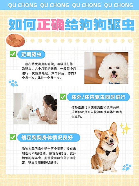 宠物狗狗知识科普套装小红书配图
